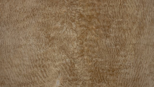 furryleather.jpg